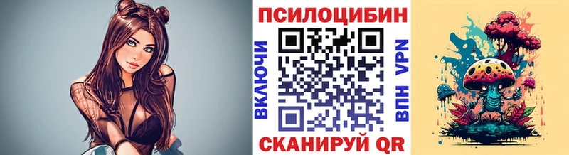 Галлюциногенные грибы Psilocybine cubensis  магазин продажи   Подольск 